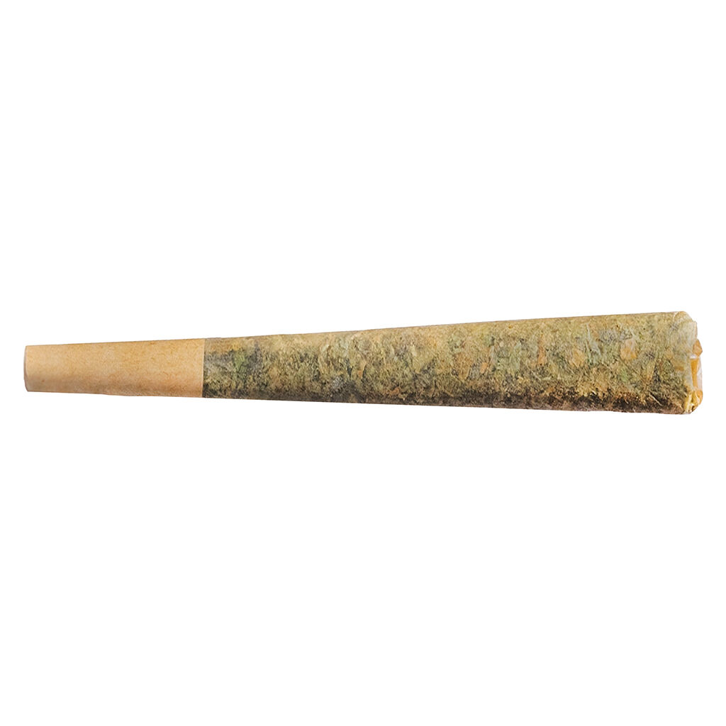 Fuego - Night Rider Distillate Infused Pre-Roll