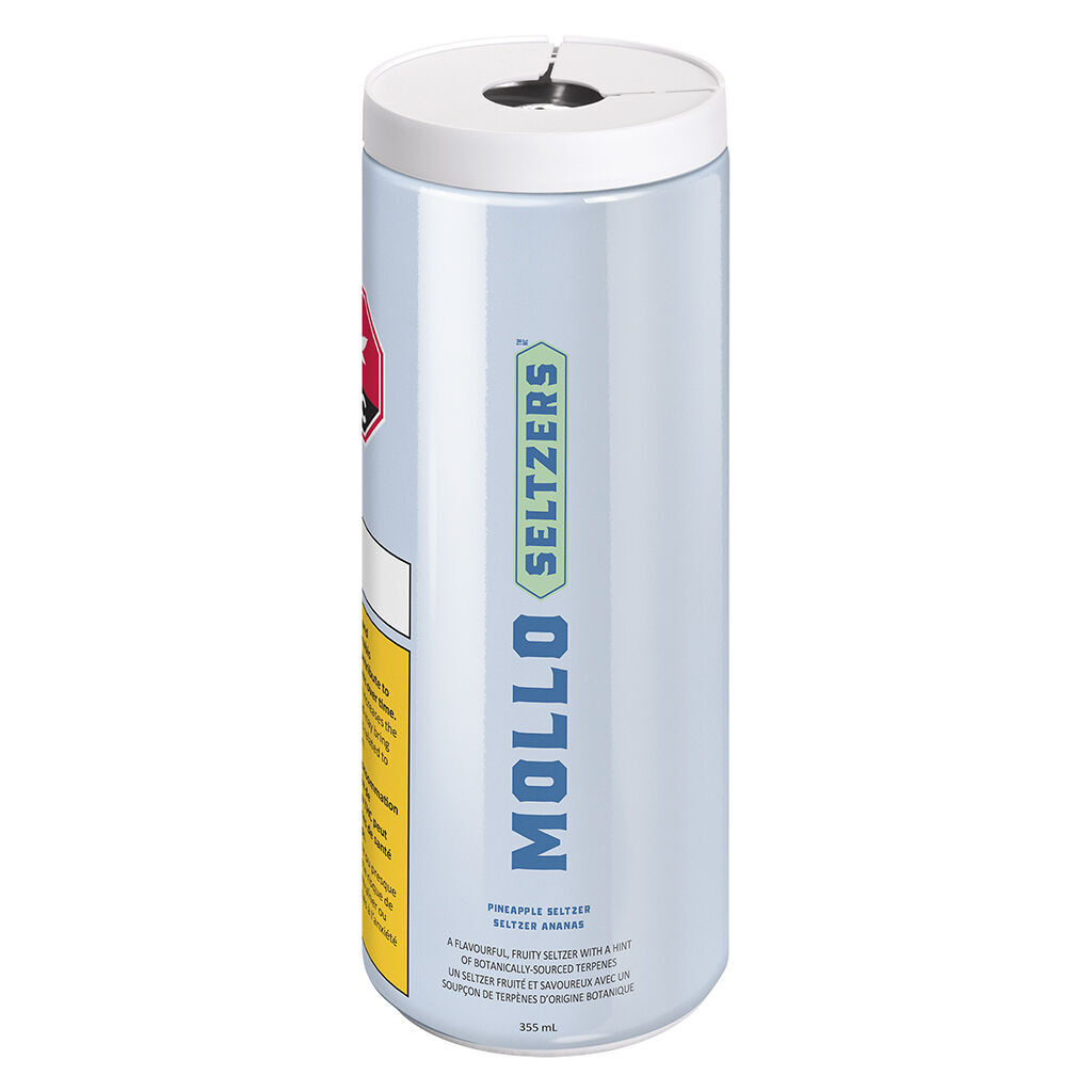 Pineapple Seltzer 355ml