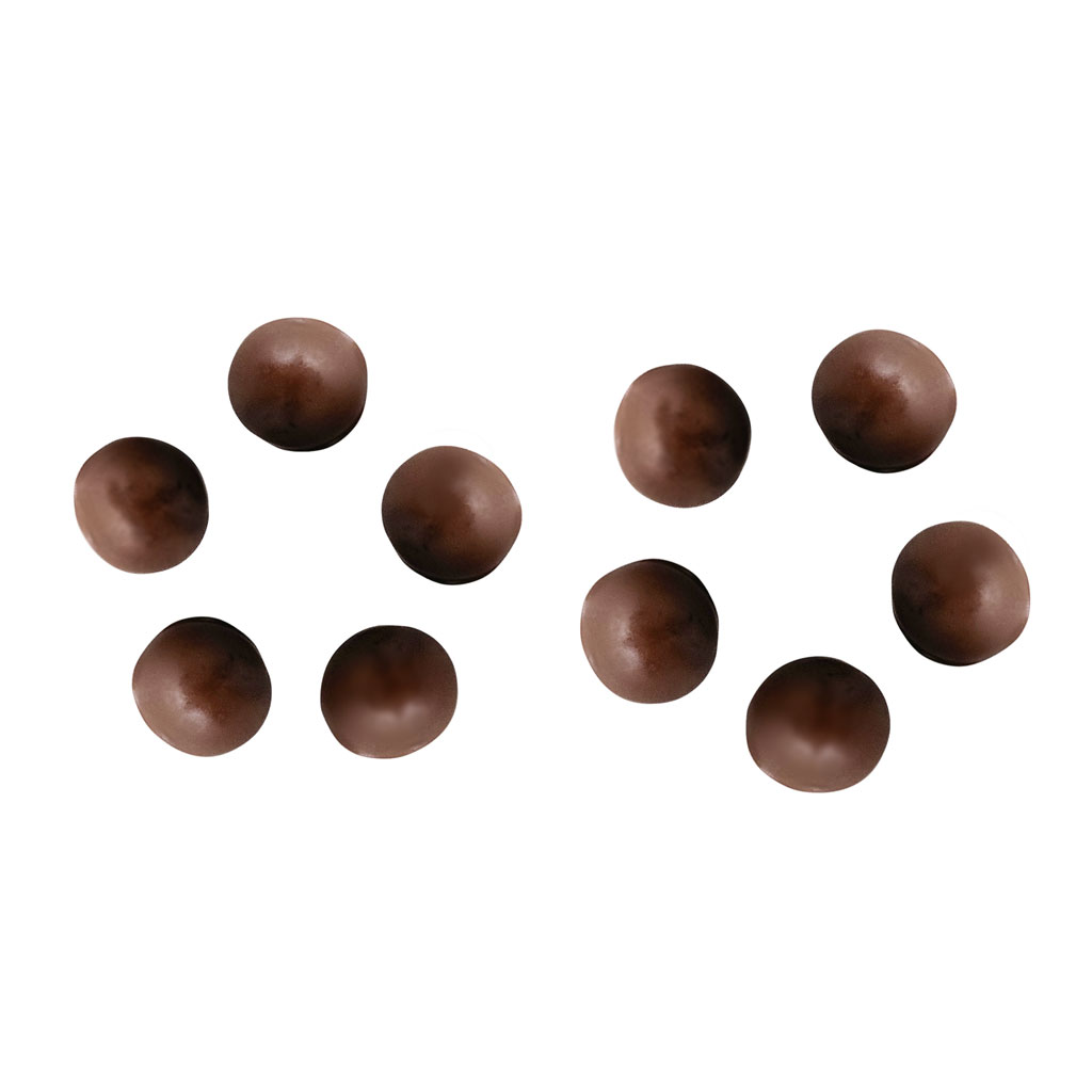 Gas Station - Chocolate + Peanuts - 10 pack